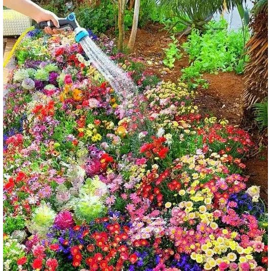 Buy 100 Flower Seed Varieties & Get Free Plant Growth Supplement - OwnzoKart