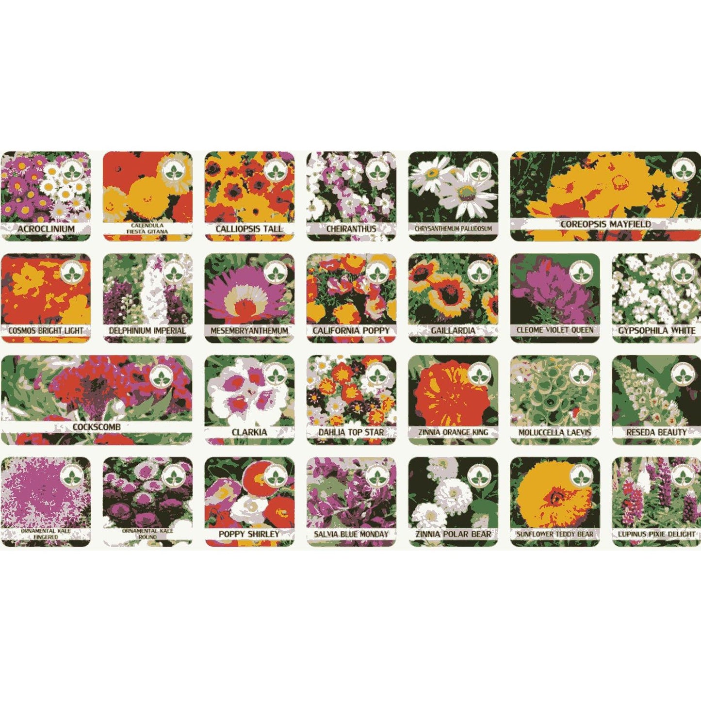 Buy 100 Flower Seed Varieties & Get Free Plant Growth Supplement - OwnzoKart