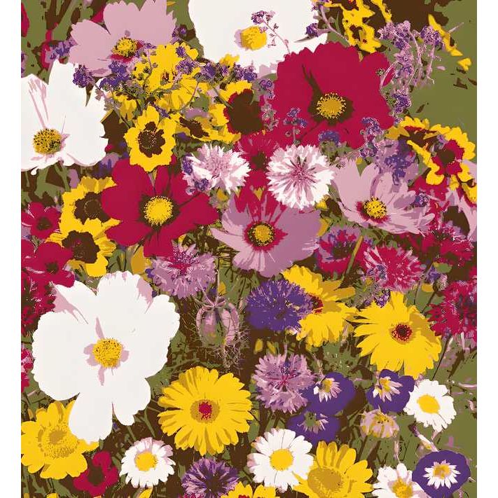 Buy 100 Flower Seed Varieties & Get Free Plant Growth Supplement - OwnzoKart