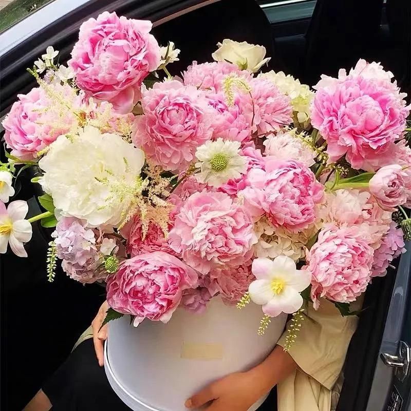 The Queen of Flowers?Peony Flower (Pack of 20) - OwnzoKart